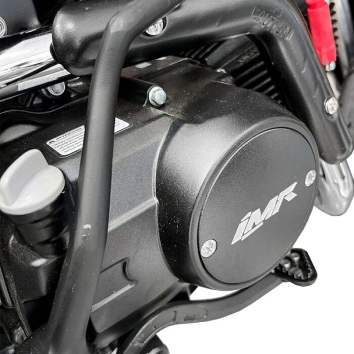 PITBIKE IMR COPA ALEVIN SM90 R - Imagen 5