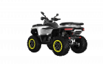 BENDA ATV - Imagen 26